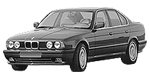 BMW E34 P174D Fault Code